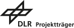 DLR Logo